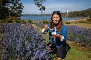 Port Arthur and Lavender Farm Active Day Tour - Accommodation Tasmania